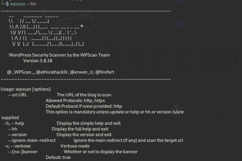 WPScan screenshot.